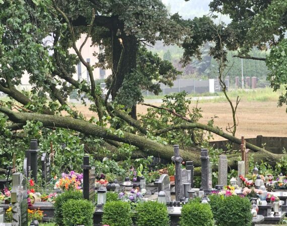 Wichura w Sianowie 12