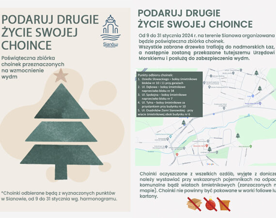 Infografika choinki poprawione