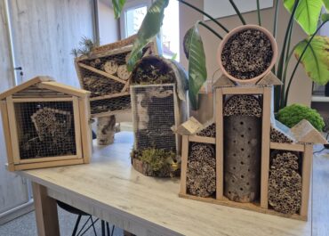 Rozstrzygnięcie konkursu „Pszczele Hotele” 5