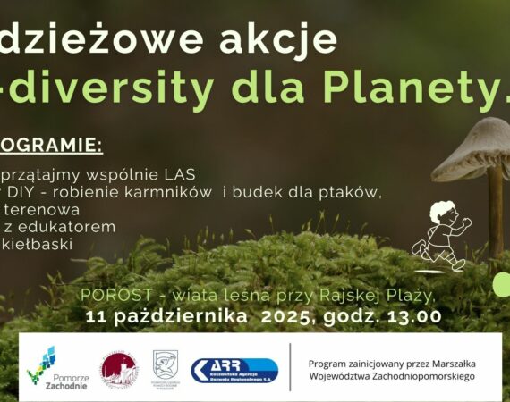 akca ekolog 11.10.2025
