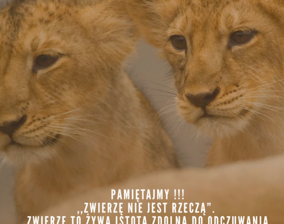 Dzień Praw Zwierząt 4