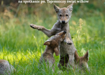 plakat 3