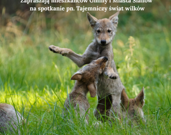 plakat 3