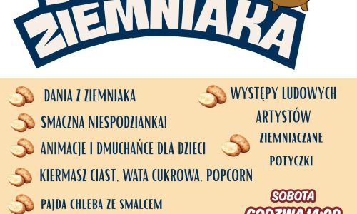 dzien ziemniaka