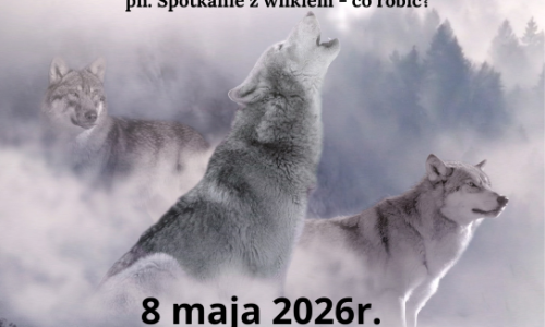 plakat wilk spottkanie z mieszkańcami